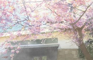 桜の季
