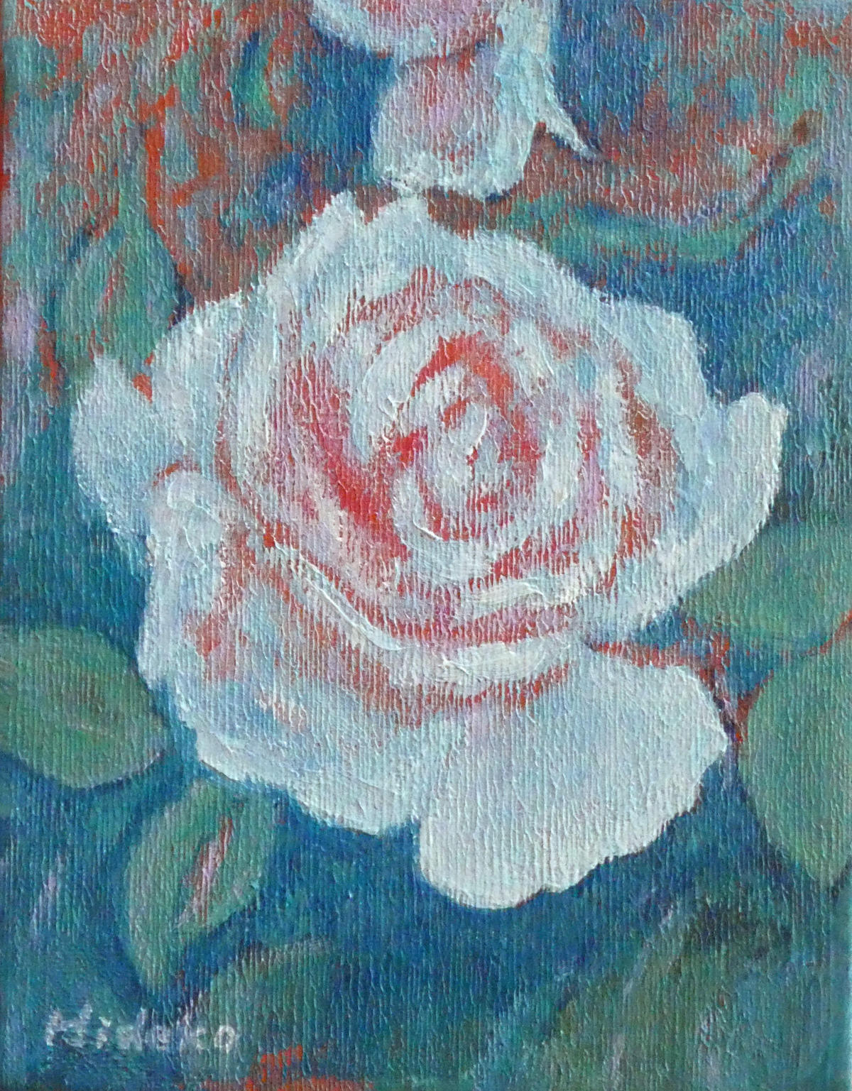 白い薔薇 