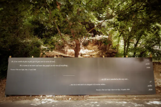 ゴッホ最後の作品《木の根と幹》が描かれた場所を特定。「非常に信憑性高い」