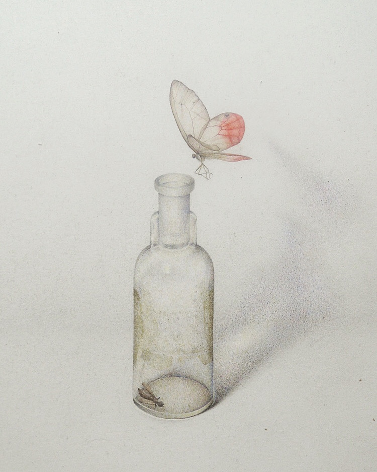 古い瓶と蝶
