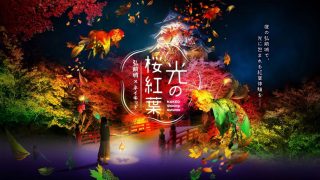 「弘前城×ネイキッド 光の桜紅葉」青森・弘前公園で光の紅葉アート、金魚提灯と共に園内回遊