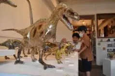 紙とセロハンテープでリアル追求　兵庫・西宮で恐竜や動物の作品展