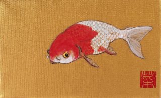 ハコイリ金魚／花房