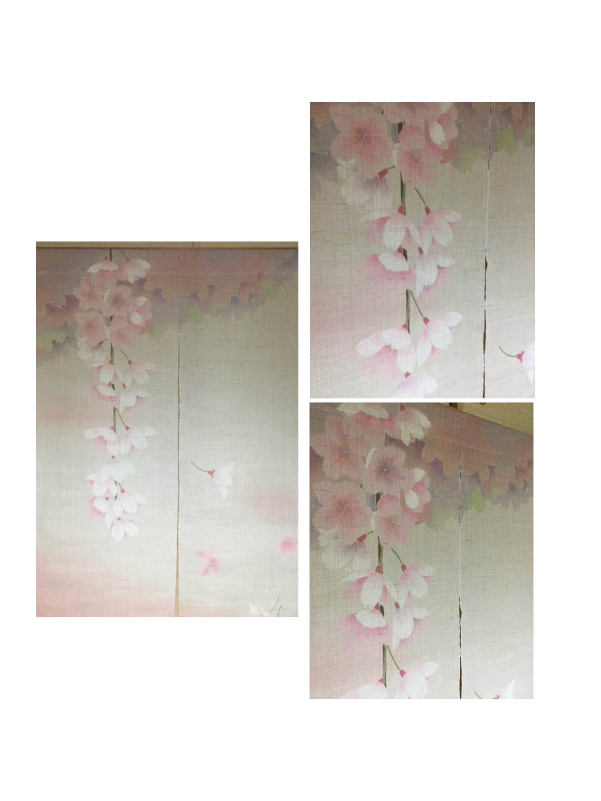 暖簾　桜