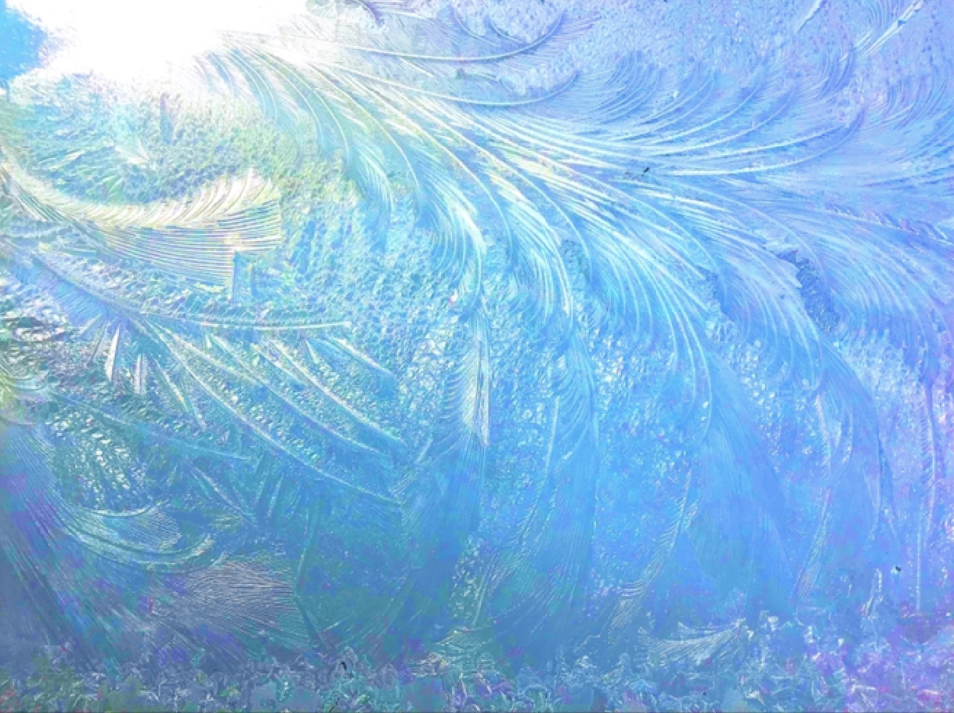 バリ絵画 アート バリ 海 海の絵 波 波の絵 ウィンディ インテリア 木