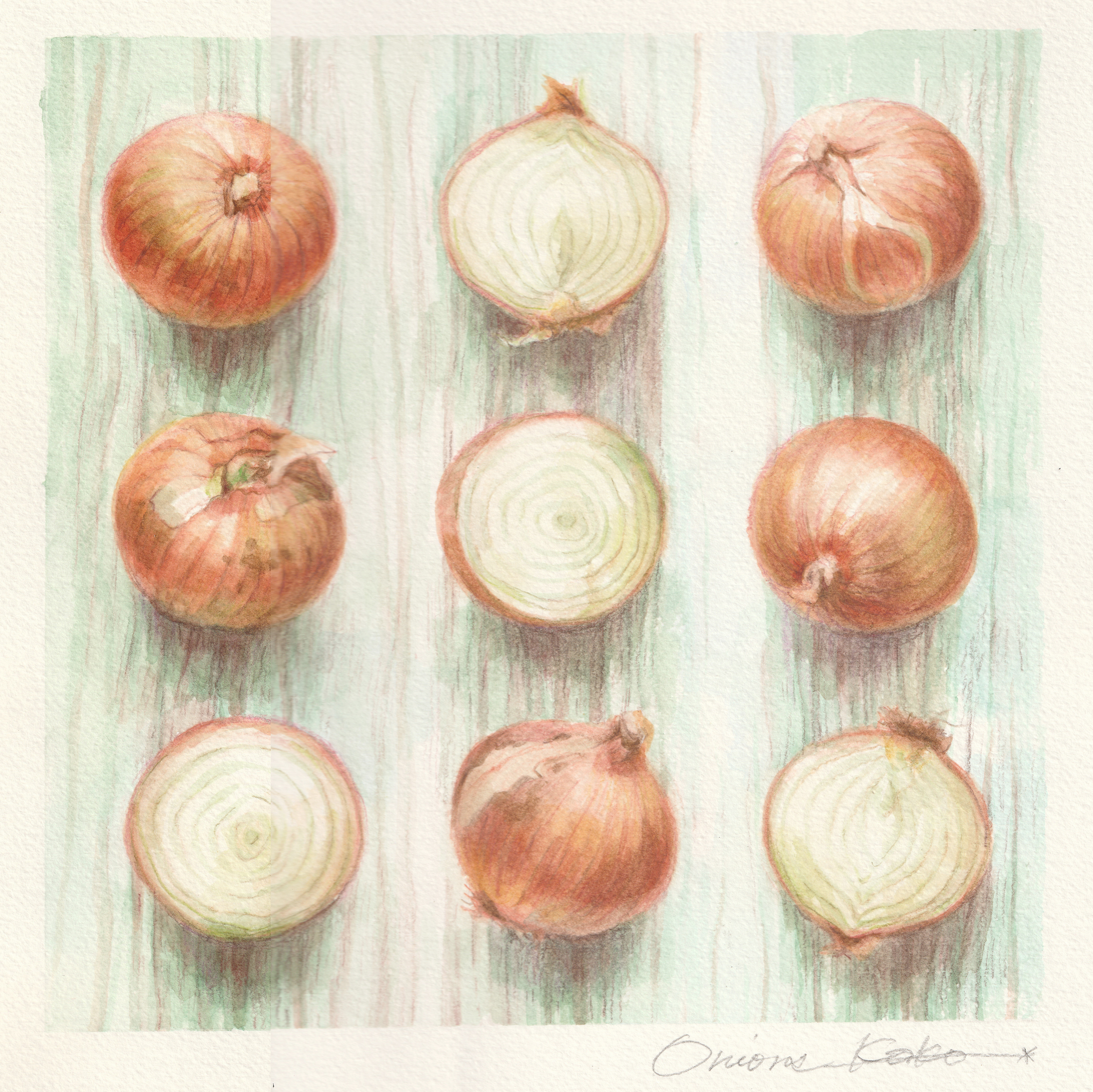 Onions(たまねぎ) 