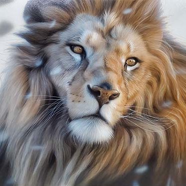 冬のライオン