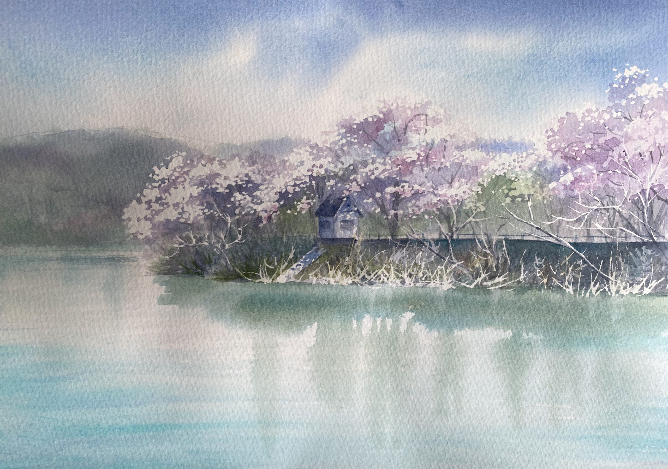矢木羽湖公園桜並木
