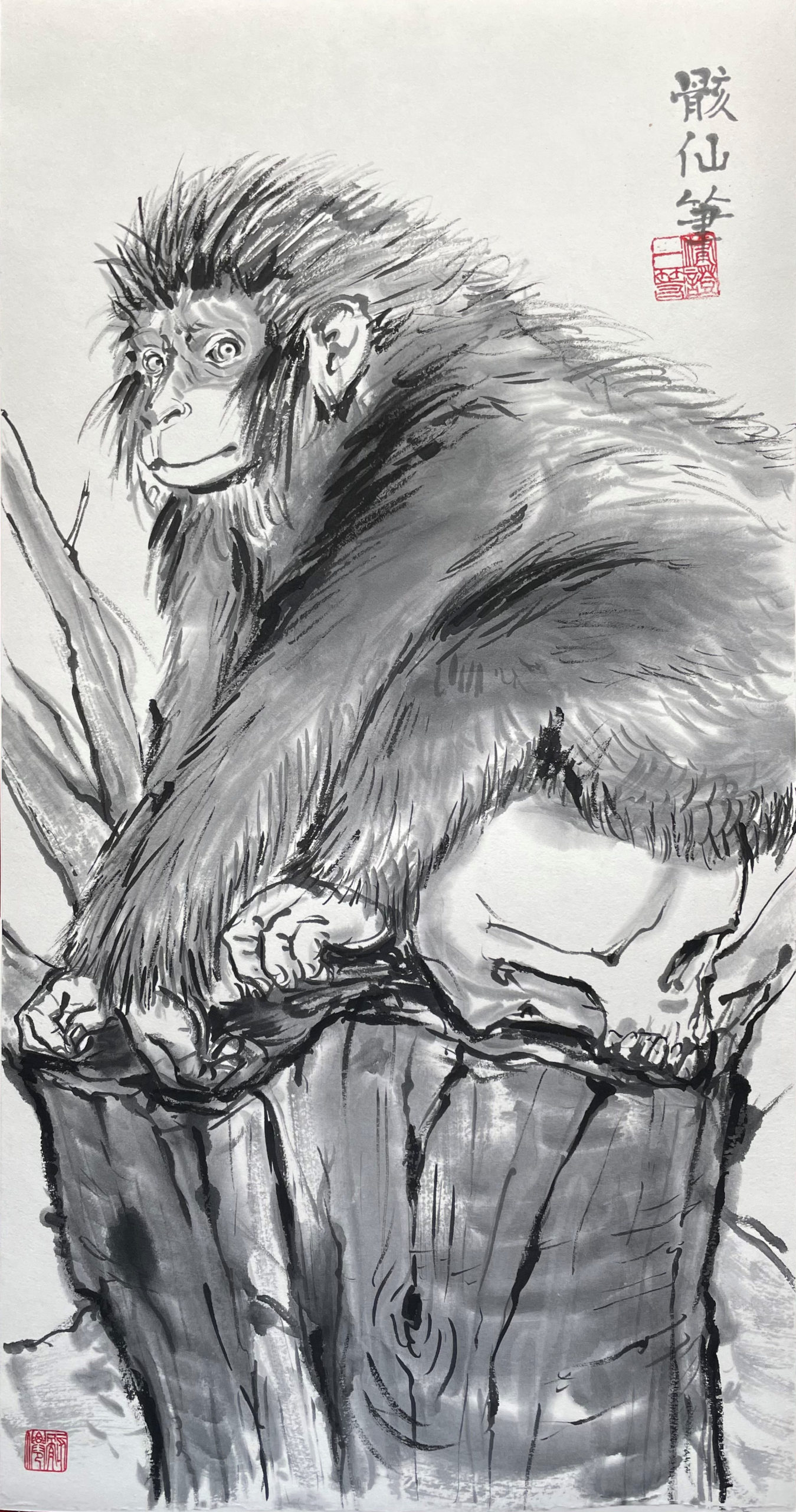 猿と髑髏（Monkey and skull）