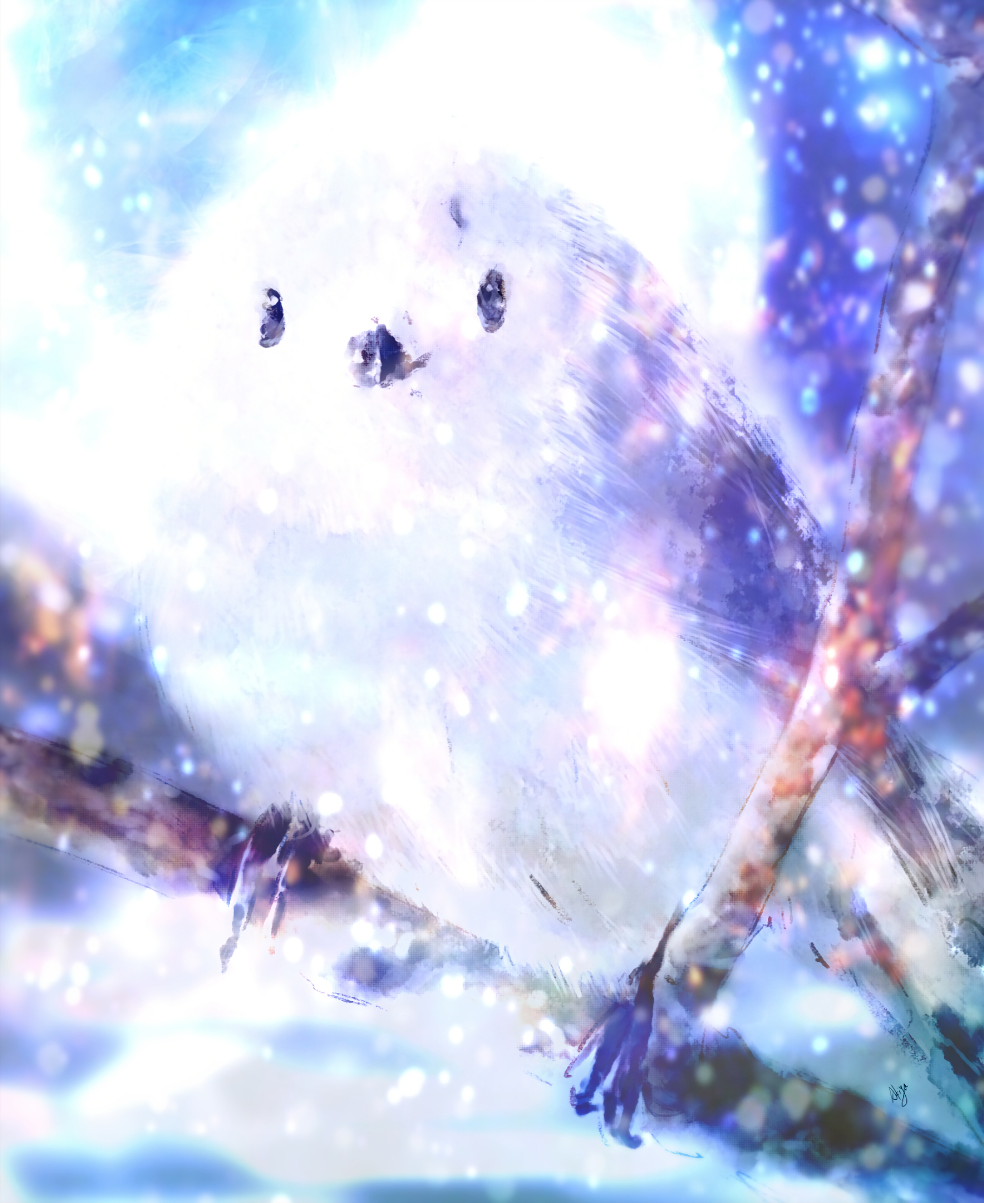 雪の妖精