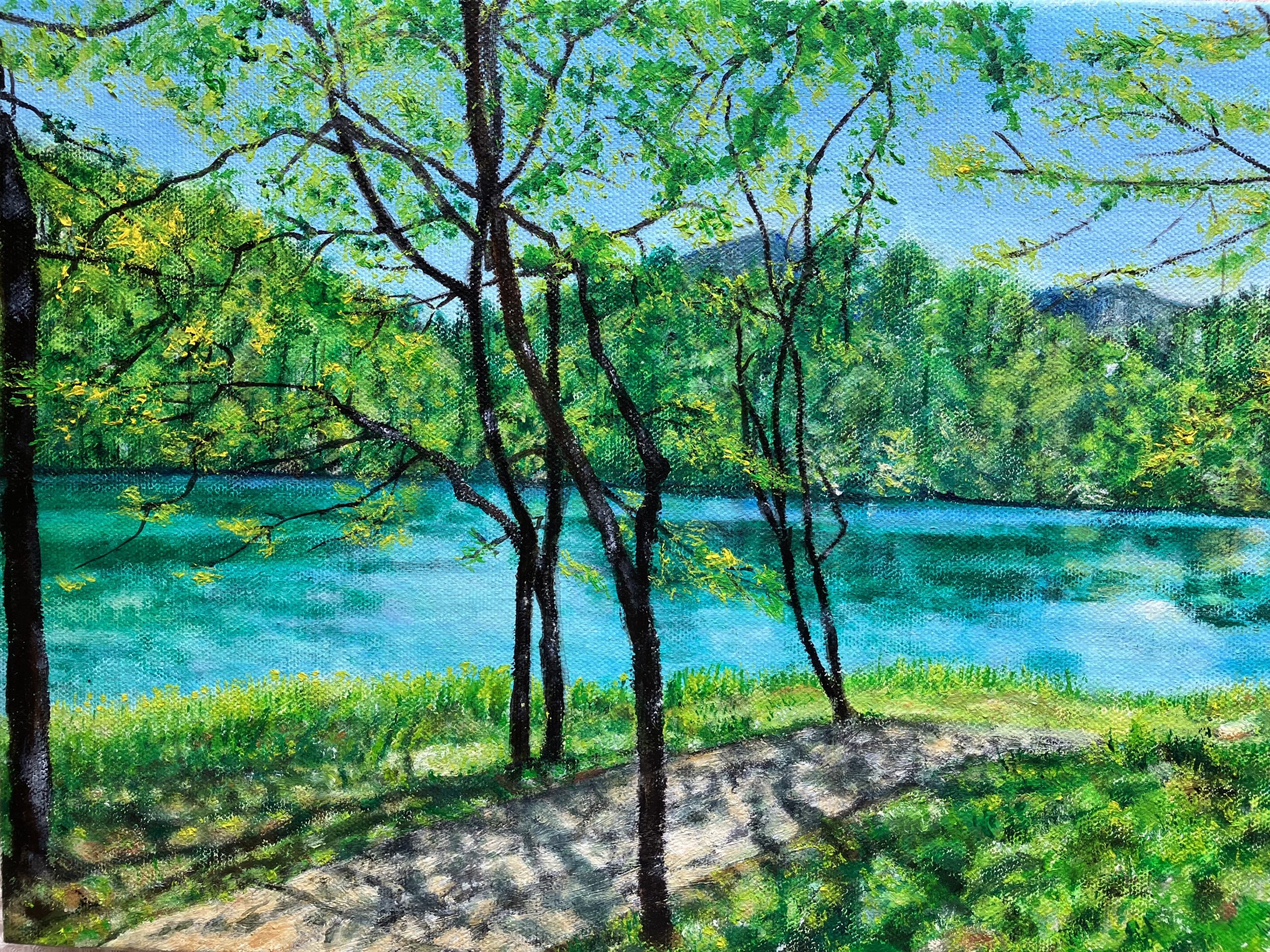 絵画 風景画 五色沼から見た磐梯山 油彩 状態良好 - 美術品