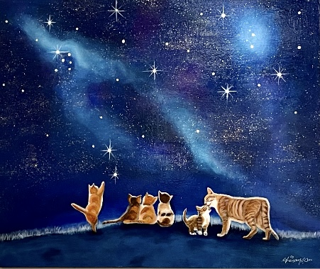 星空の猫家族